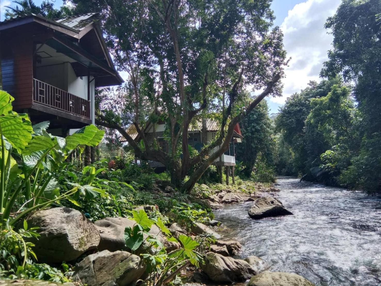 Tree Tops River Huts Khao Sok National Park Exterior foto